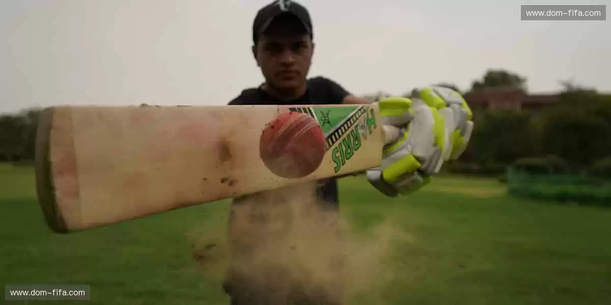 📰 体育新闻,权威速递!🏆 最新战报、深度解读,尽在掌握!